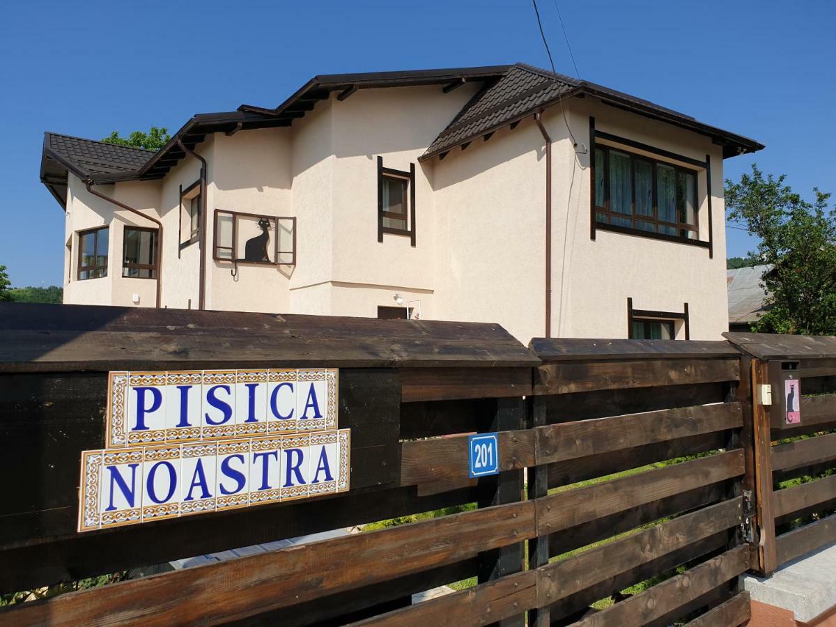 Hotel Casa Pisica Noastra à Breaza  Extérieur photo